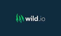 wild io casino logo 300x300 mini