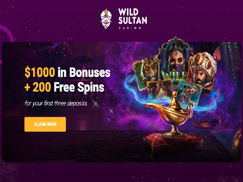 page d'accueil d'un des meilleurs casinos en ligne wild sultan 